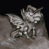 Dragon Youngling