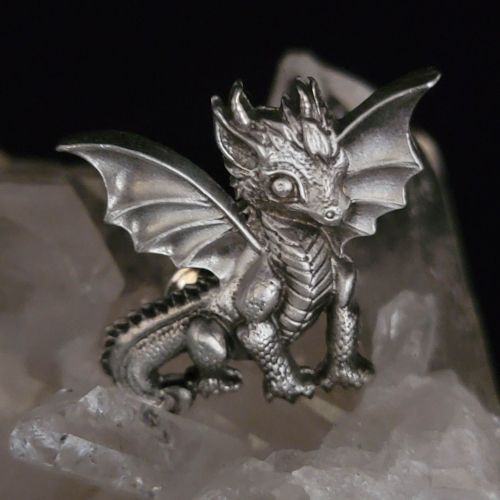 Dragon Youngling