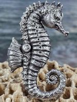 Seahorse - Pewter Collectible Pin